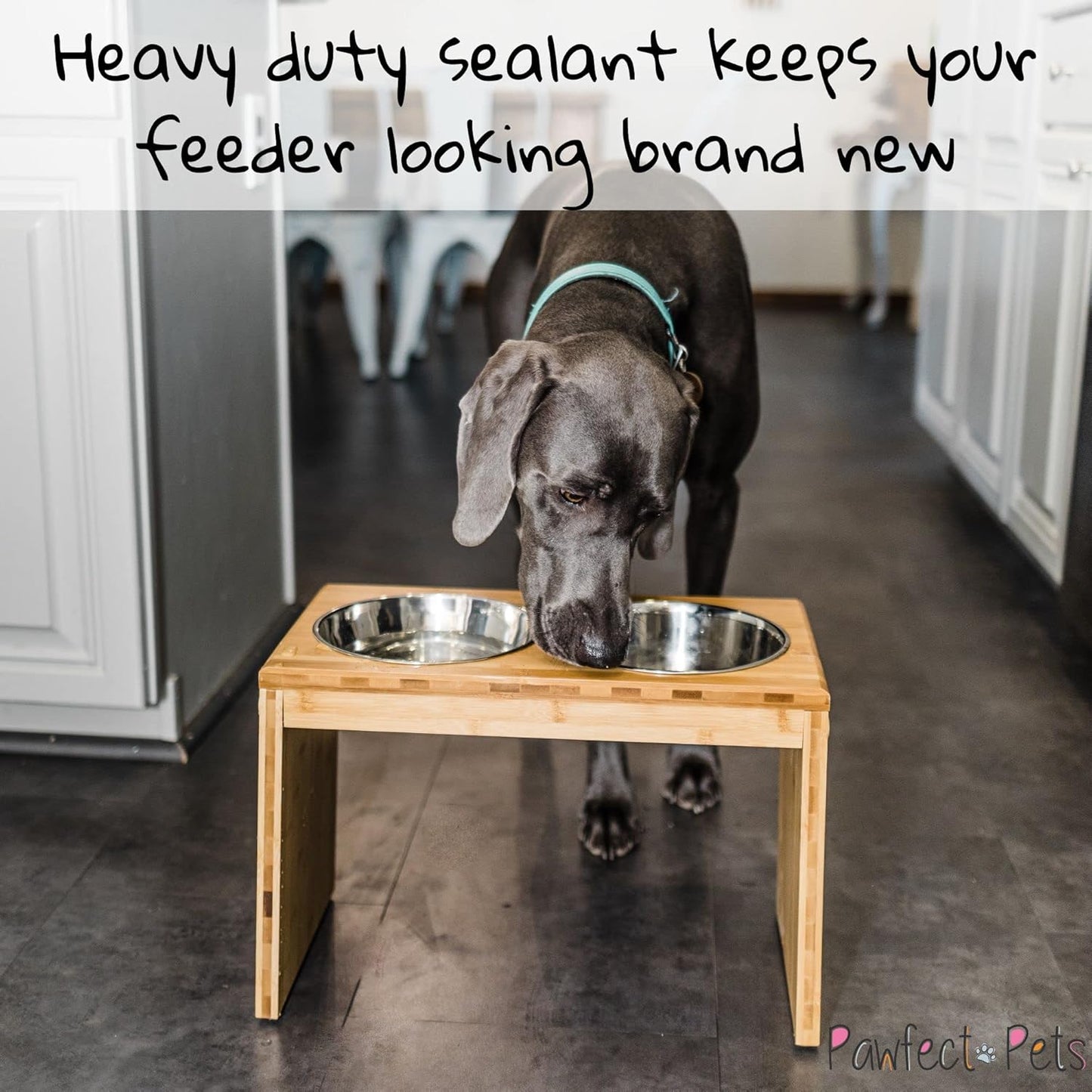 Premium 12" Elevated Pet Feeder for Large Dogs