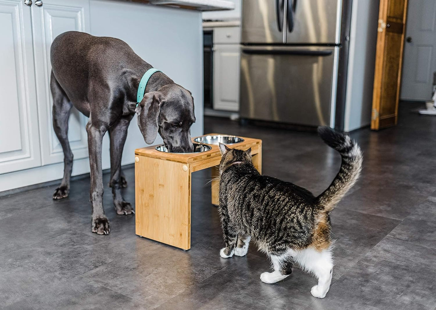 Premium 12" Elevated Pet Feeder for Large Dogs