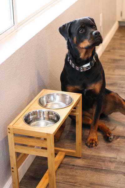 Adjustable Pet Dog Feeder, 12", 14" or 16" Tall Raised Dog Bowl Stand, Comes with Four Stainless Steel Dog Bowls