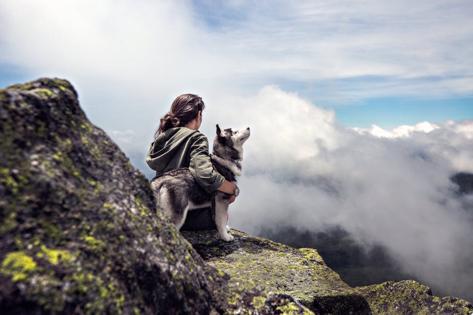 What to Take When Traveling With Your Pet