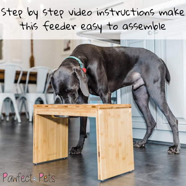 Premium 12" Elevated Pet Feeder for Large Dogs