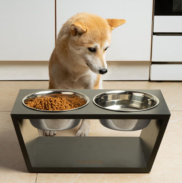 Pawfect Pets Elevated Dog Bowl Stand- 7" Raised Dog Bowl for Medium Dogs. Pet Feeder with  Four Stainless Steel Bowls.