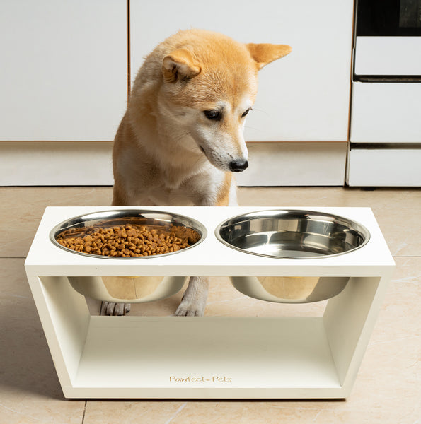 Pawfect Pets Elevated Dog Bowl Stand- 7" Raised Dog Bowl for Medium Dogs. Pet Feeder with  Four Stainless Steel Bowls.