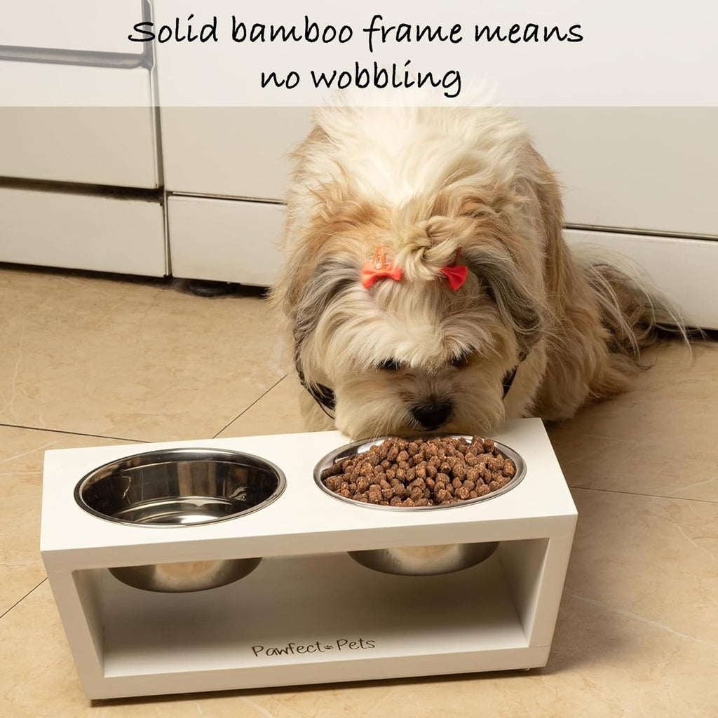 Small dog dishes hotsell