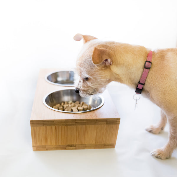 Pawfect Pets Elevated Dog Bowl Stand- 4” Raised Dog Bowl for Small Dogs and Cats. Pet Feeder with Four Stainless Steel Bowls.