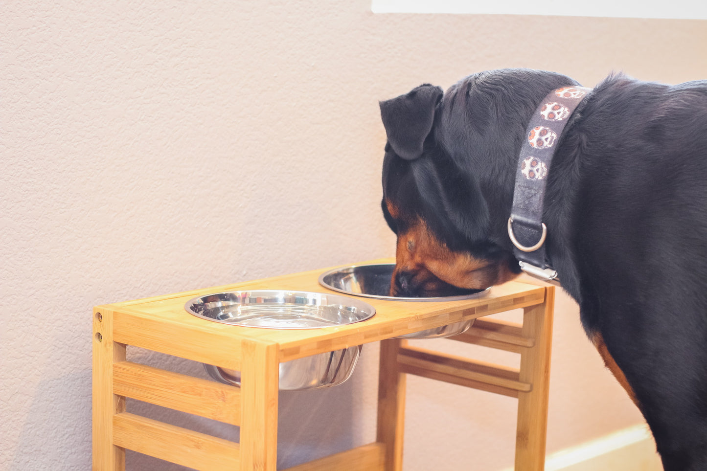 Adjustable Pet Dog Feeder, 12", 14" or 16" Tall Raised Dog Bowl Stand, Comes with Four Stainless Steel Dog Bowls