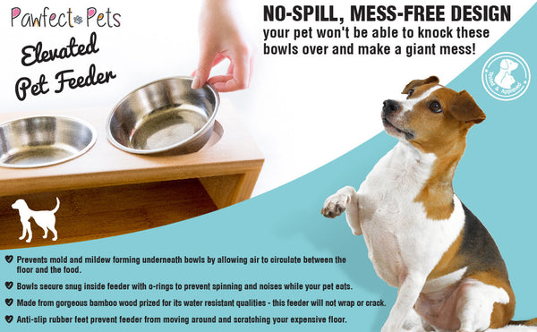 Pawfect Pets Elevated Dog Bowl Stand- 4” Raised Dog Bowl for Small Dogs and Cats. Pet Feeder with Four Stainless Steel Bowls.