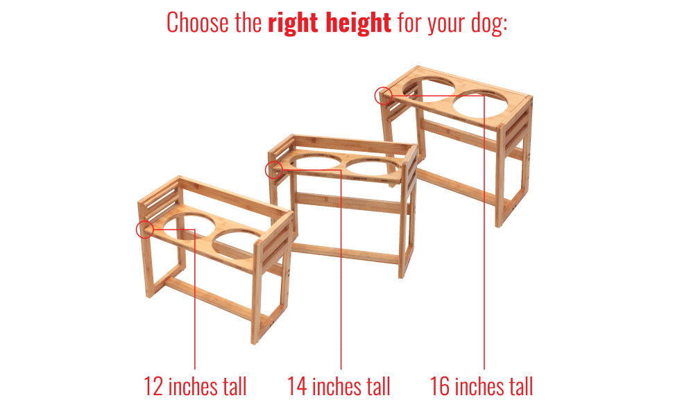 PAWFECT PETS Elevated Feeder Raised Dog Bowl Stand with four