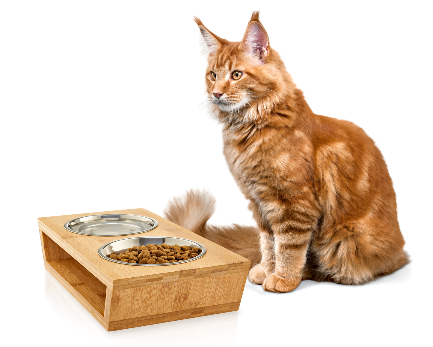Pawfect Pets Elevated Dog Bowl Stand- 4” Raised Dog Bowl for Small Dogs and Cats. Pet Feeder with Four Stainless Steel Bowls.