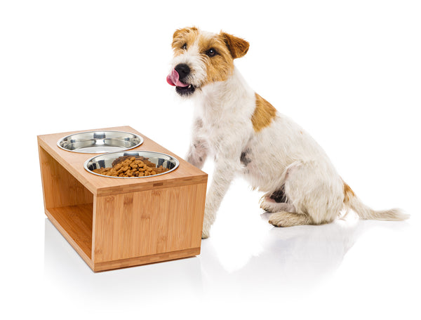 Pawfect Pets Elevated Dog Bowl Stand- 7" Raised Dog Bowl for Medium Dogs. Pet Feeder with  Four Stainless Steel Bowls.