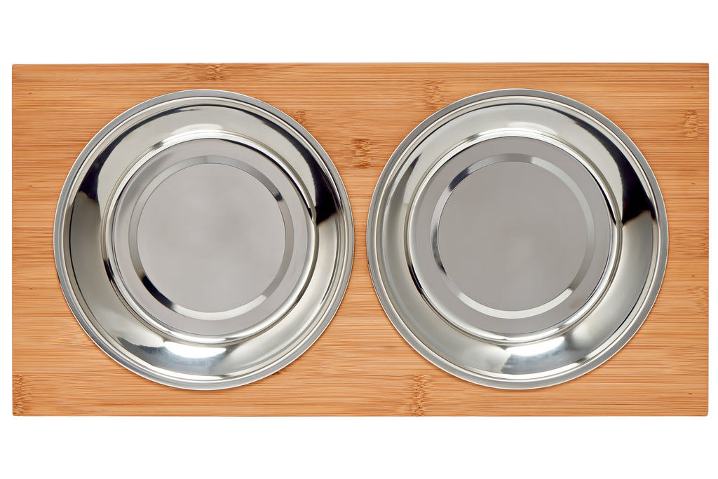 4” Raised Dog Bowls for Small Dogs and Cats. Elevated Dog Bowl Stand by  Pawfect Pets. Pet Feeder Comes with Four Stainless Steel Dog Bowls
